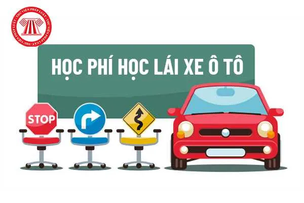 Người lái xe ô tô đang tập trung lái xe trong buổi thực hành