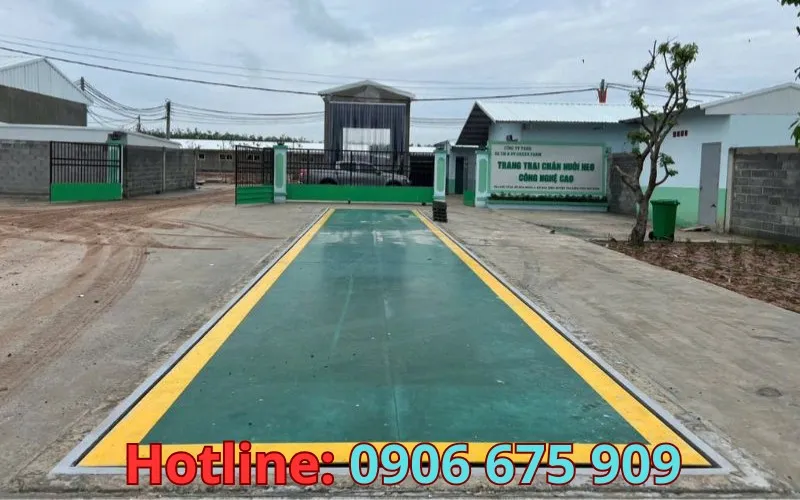 Thi công trạm cân điện tử