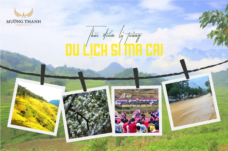 thoi-diem-ly-tuong-di-si-ma-cai