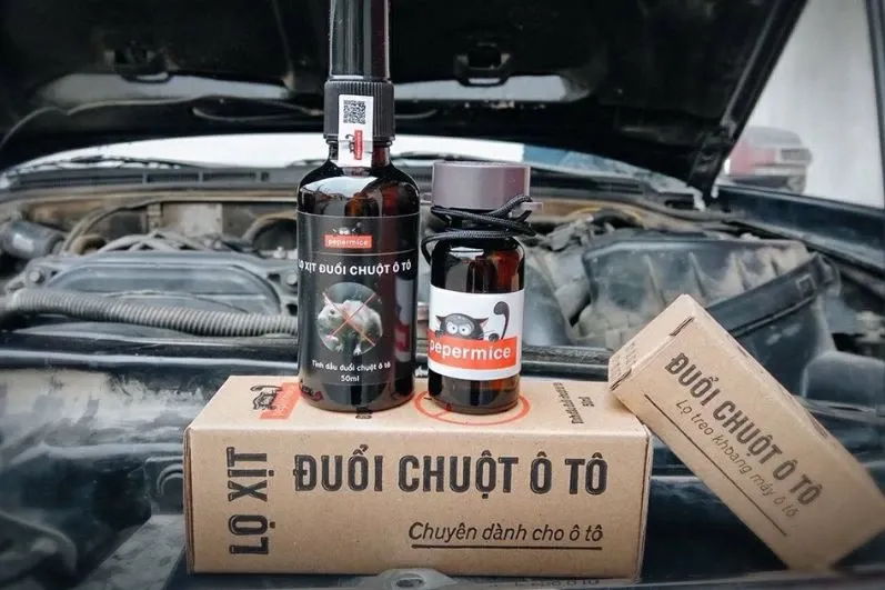 Tinh dầu bạc hà/gừng để đuổi chuột, phương pháp chống chuột cho xe ô tô an toàn