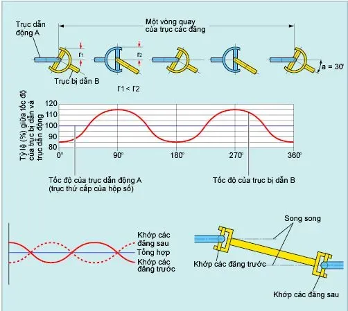 Sự thay đổi về tốc độ góc của khớp trục các đăng