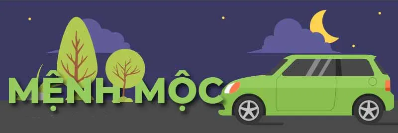 Năm Kỷ Hợi nên mua xe ô tô màu gì?.