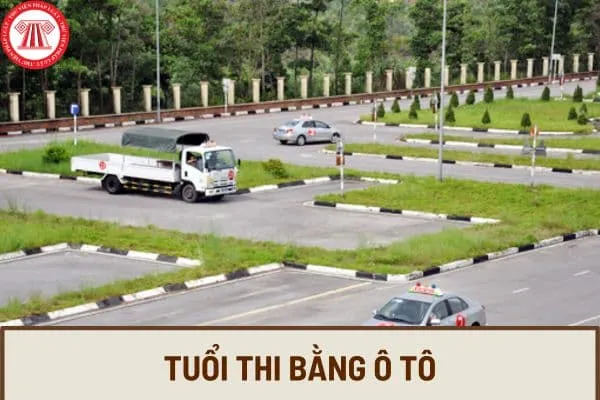 Độ tuổi thi bằng lái xe ô tô theo quy định pháp luật Việt Nam