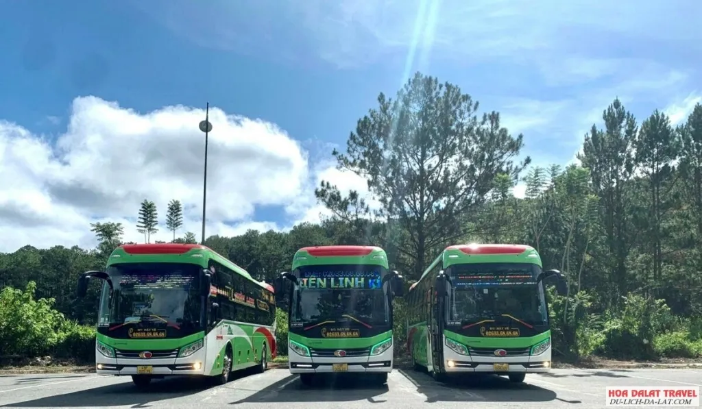 Xe Điện Linh Limousine