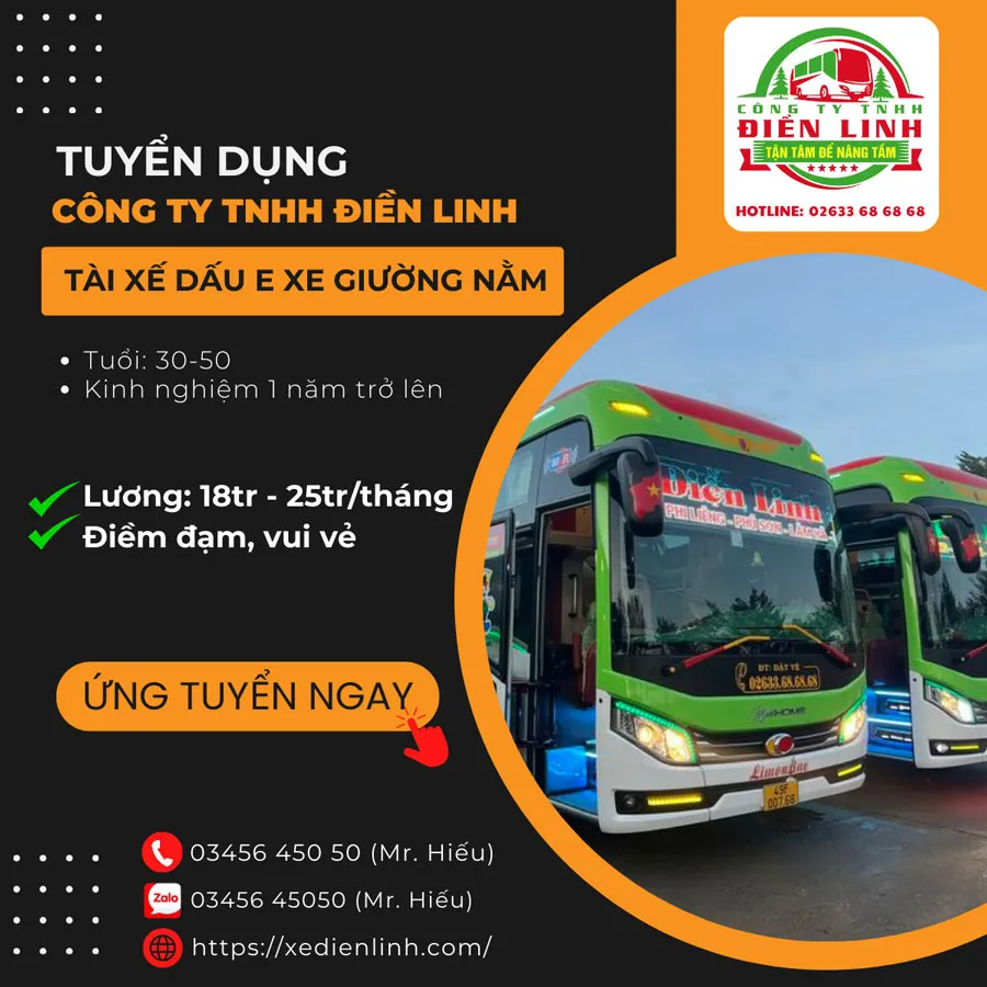Tuyển tài xế dấu E - Xe Điện Linh
