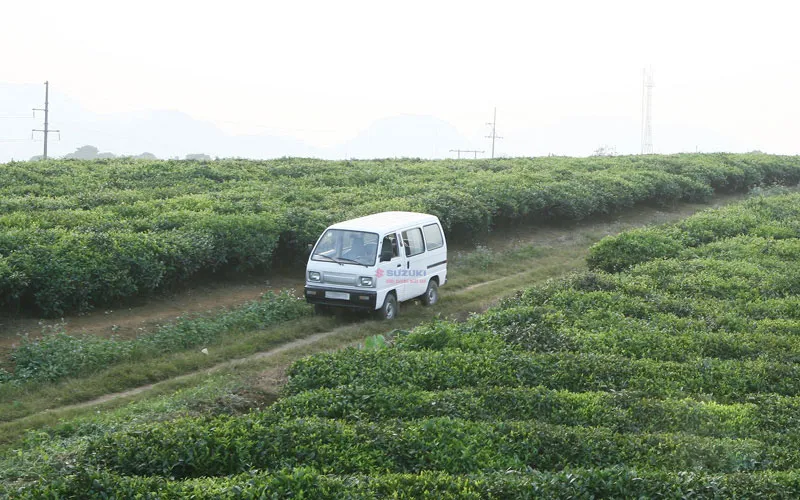 Xe bán tải su cóc đậu trước đại lý, thể hiện rõ màu sắc và thiết kế tổng thể