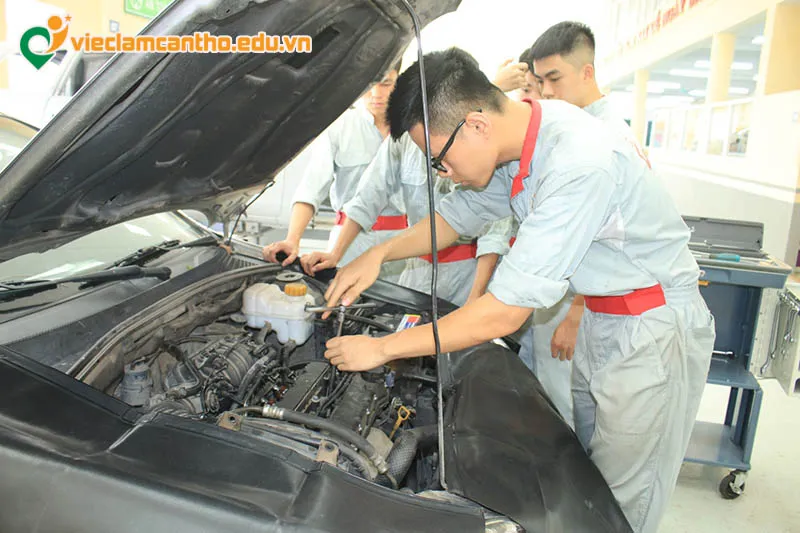 Cơ Hội Tuyển Dụng Ô Tô Cần Thơ: Đa Dạng Vị Trí Từ Kỹ Thuật Đến Quản Lý