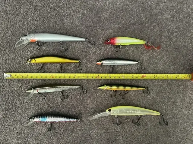 Hoạt động bảo tồn và quản lý nguồn lợi cá Walleye ở Bắc Mỹ