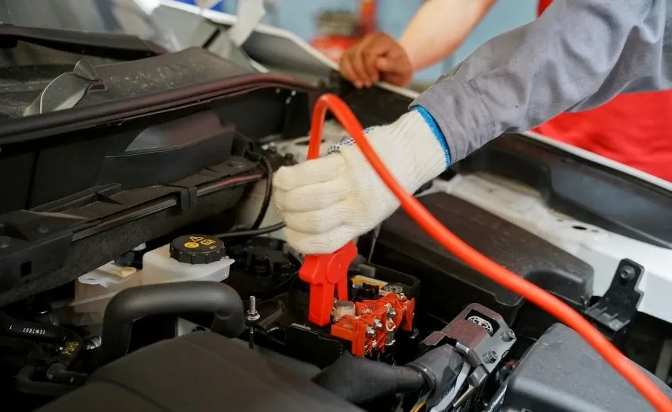 Xác định vị trí chuột xâm nhập để chống chuột cho xe ô tô hiệu quả