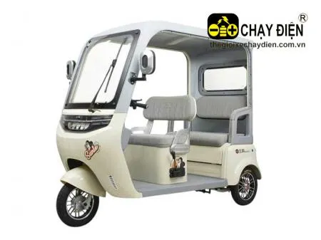 Xe 3 bánh điện Vnbike J6