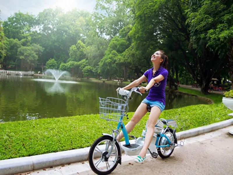 Phụ tùng xe đạp điện Bridgestone