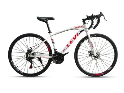 Xe ÄaÌ£p Äua Levi Gemini