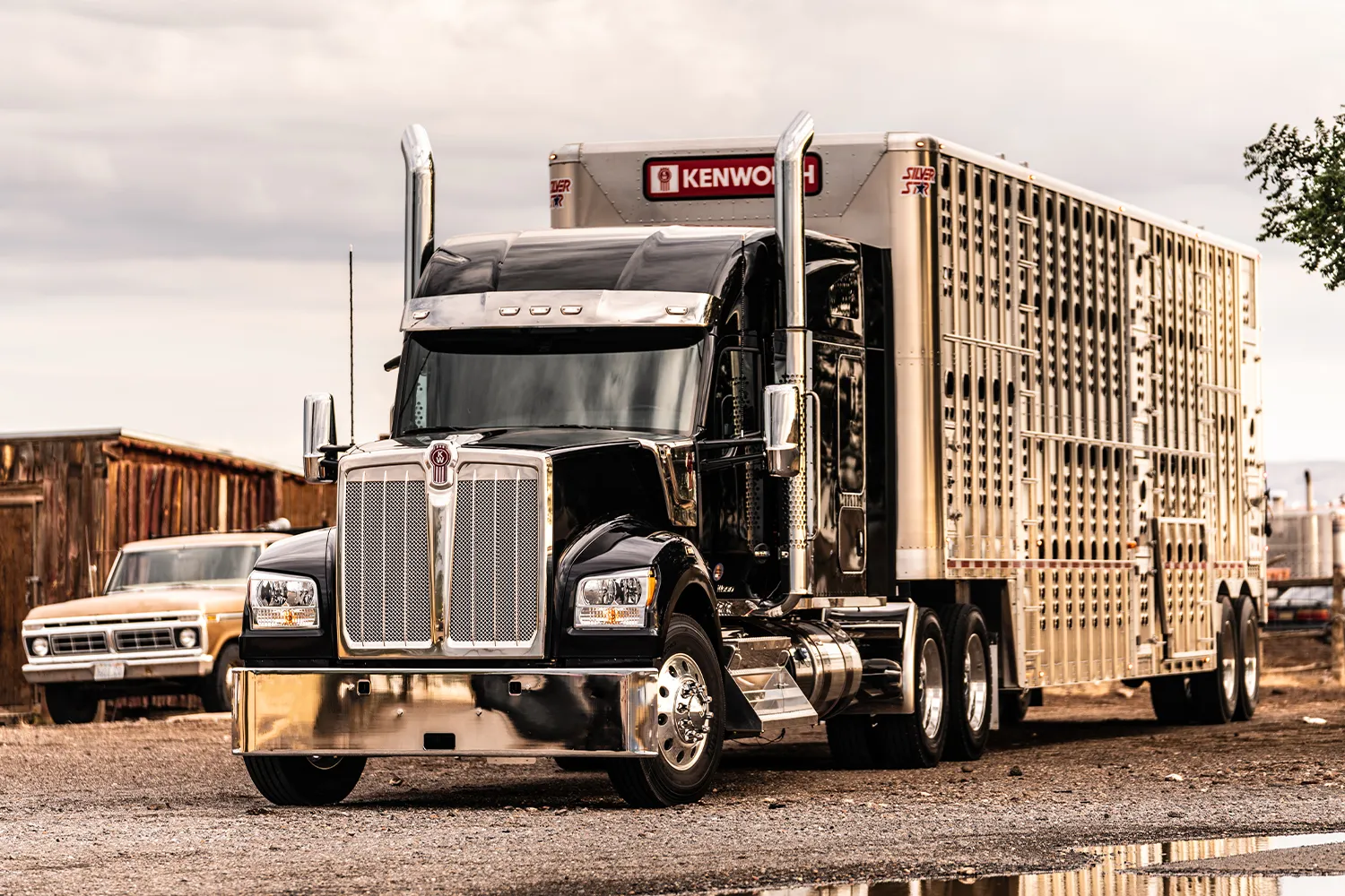 Xe đầu kéo Mỹ Kenworth W990 với nội thất cực kỳ sang trọng