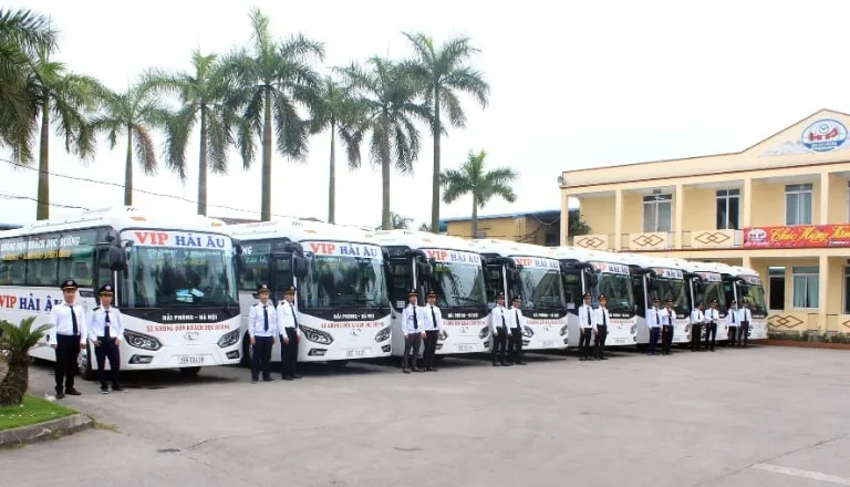 Xe Hải Âu limousine 11 chỗ