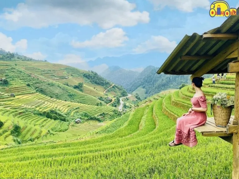 Các nhà xe từ Mỹ Đình đi Mù Cang Chải đều có kinh nghiệm chạy đường núi