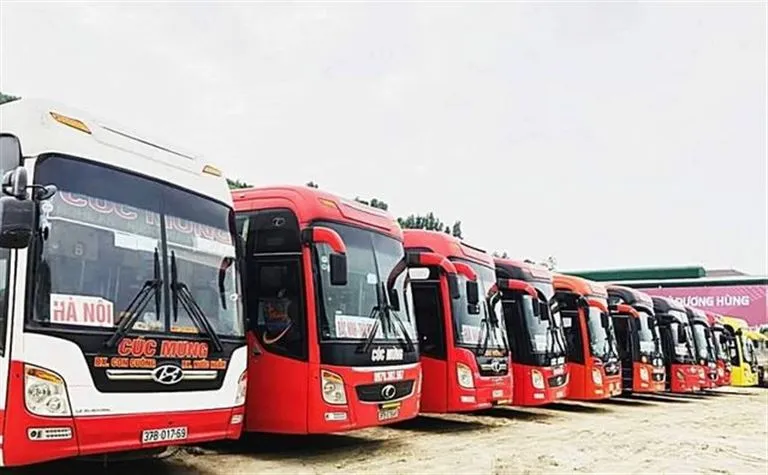 Xe Cúc Mừng với nhiều chuyến trong ngày phục vụ linh hoạt