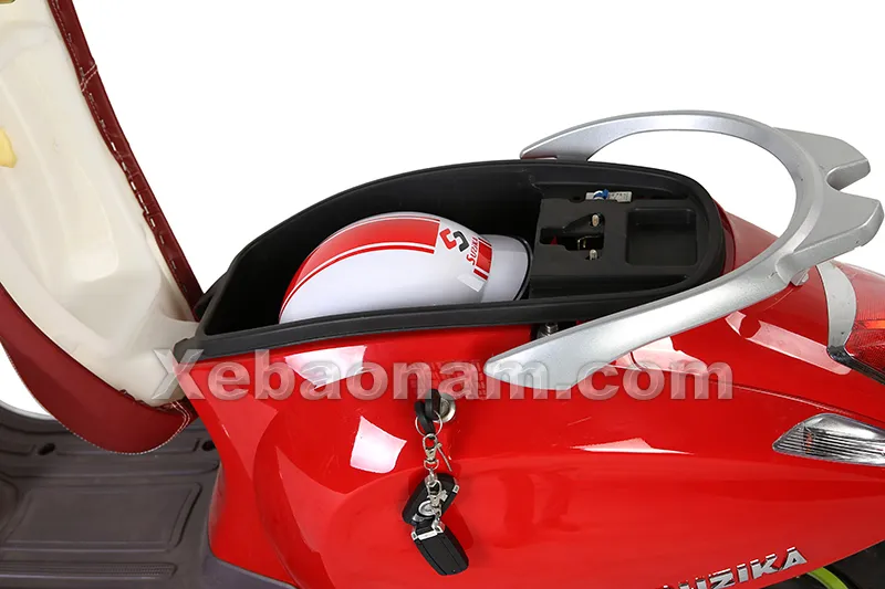 Xe máy điện Vespas chính hãng nhập khẩu - Xebaonam.com