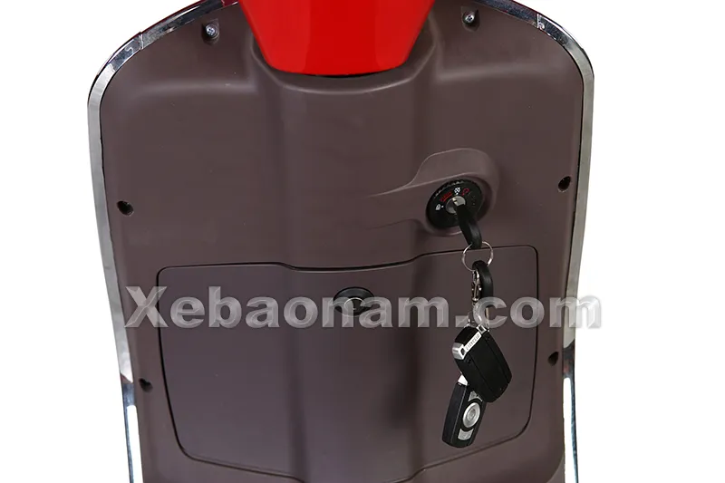 Xe máy điện Vespas chính hãng nhập khẩu - Xebaonam.com