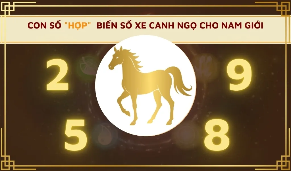 Ý nghĩa của các con số may mắn trong phong thủy biển số xe