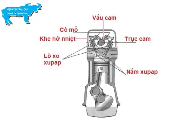 Sơ đồ chi tiết cấu tạo bên trong của cụm xupap, lò xo và bệ đỡ xupap